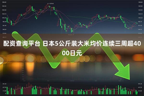 配资查询平台 日本5公斤装大米均价连续三周超4000日元