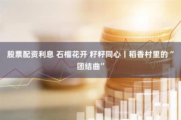 股票配资利息 石榴花开 籽籽同心丨稻香村里的“团结曲”